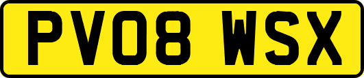 PV08WSX