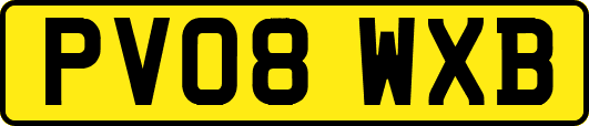 PV08WXB