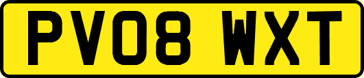 PV08WXT