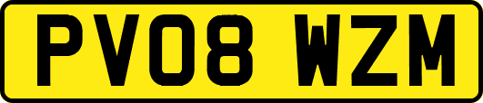 PV08WZM