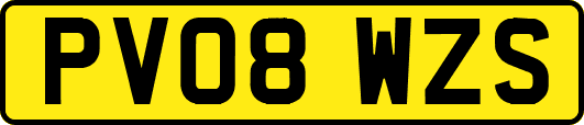 PV08WZS