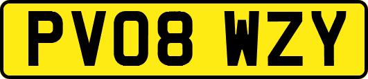 PV08WZY