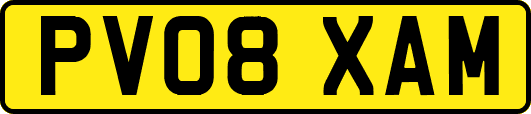 PV08XAM