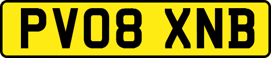 PV08XNB