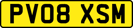 PV08XSM