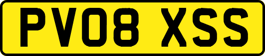 PV08XSS