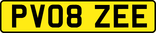 PV08ZEE