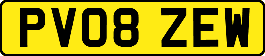 PV08ZEW