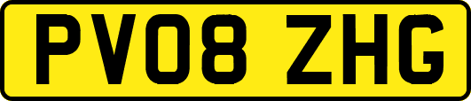 PV08ZHG