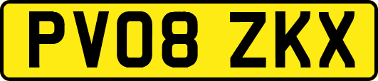 PV08ZKX