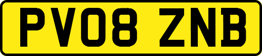 PV08ZNB