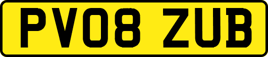 PV08ZUB