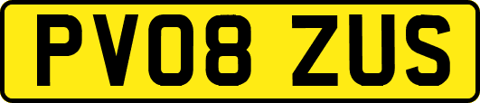 PV08ZUS