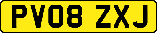 PV08ZXJ