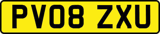 PV08ZXU