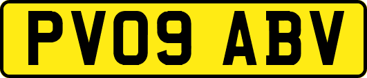 PV09ABV