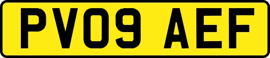 PV09AEF
