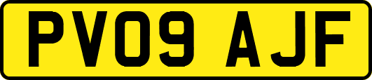 PV09AJF