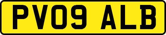 PV09ALB