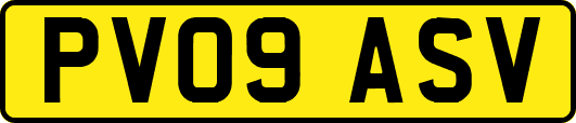 PV09ASV