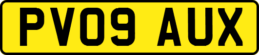 PV09AUX