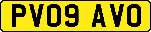 PV09AVO