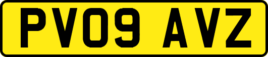 PV09AVZ