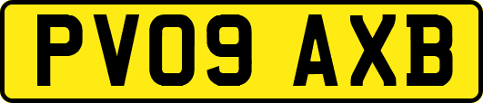 PV09AXB
