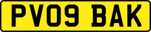 PV09BAK