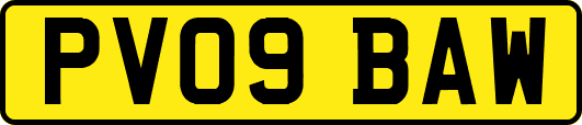 PV09BAW
