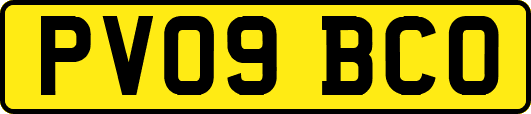 PV09BCO