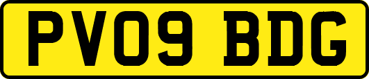 PV09BDG