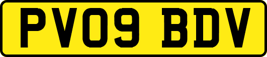 PV09BDV