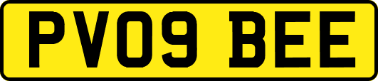 PV09BEE