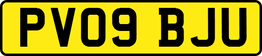 PV09BJU