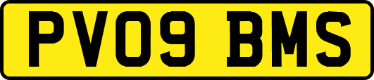 PV09BMS