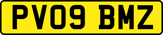 PV09BMZ