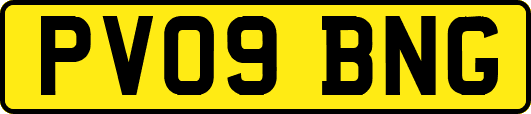 PV09BNG