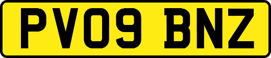 PV09BNZ