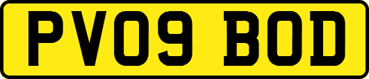 PV09BOD