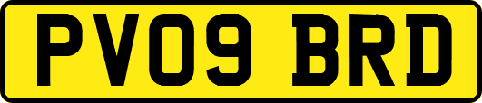 PV09BRD