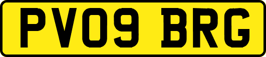 PV09BRG