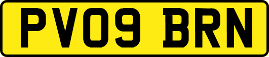 PV09BRN