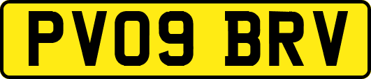 PV09BRV