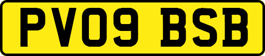 PV09BSB