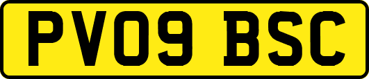 PV09BSC