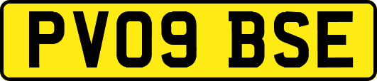 PV09BSE