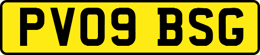 PV09BSG
