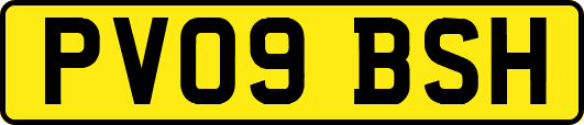 PV09BSH