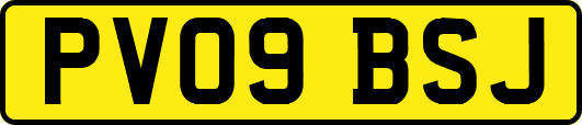 PV09BSJ